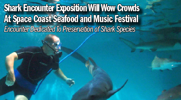 WATCH: Shark Encounter To Wow Crowds at Space Coast Seafood & Music Festival in Viera