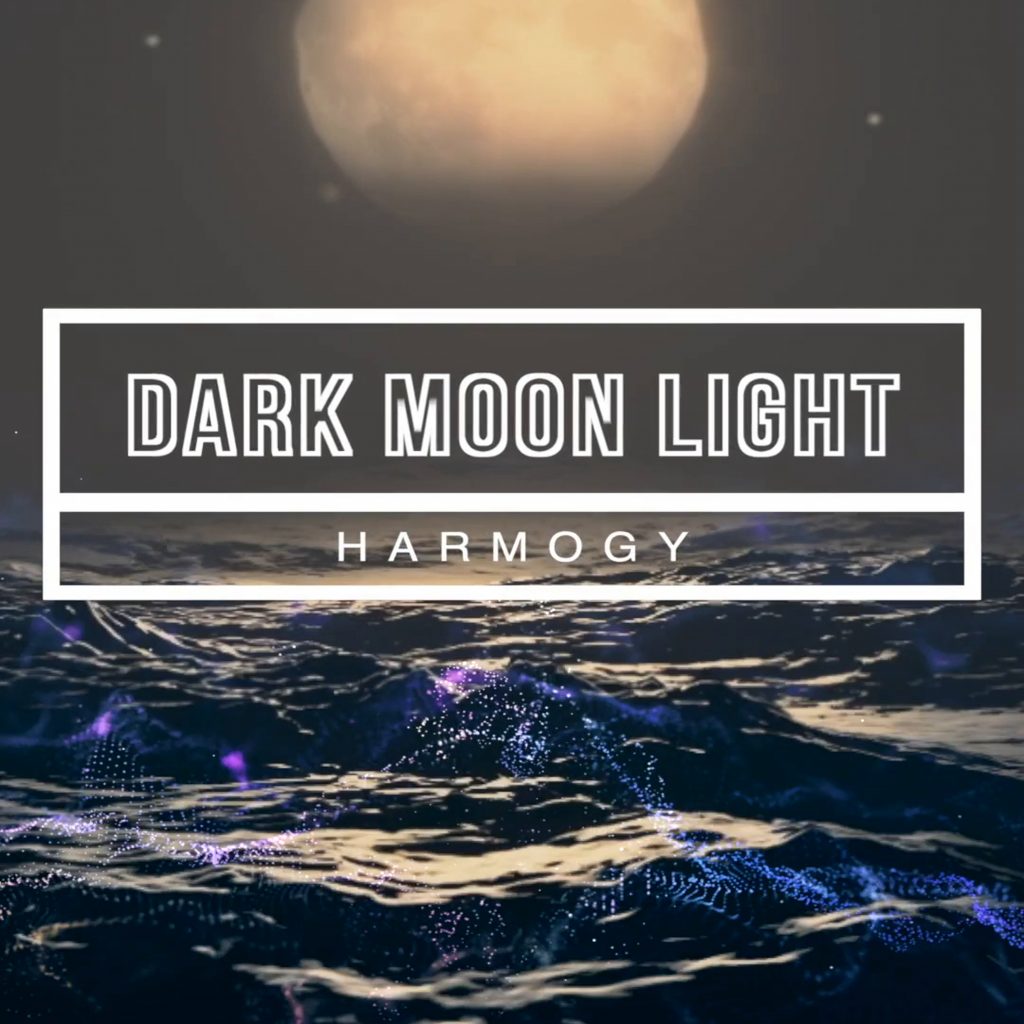 HARMOGY IS A GERMAN HOUSE, TECH HOUSE AND DEEP HOUSE PRODUCER AND IS FOLLOWING HIS DREAM TO BRING WELL-PRODUCED MUSIC TO HOUSE FANS
